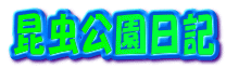 �����������L 